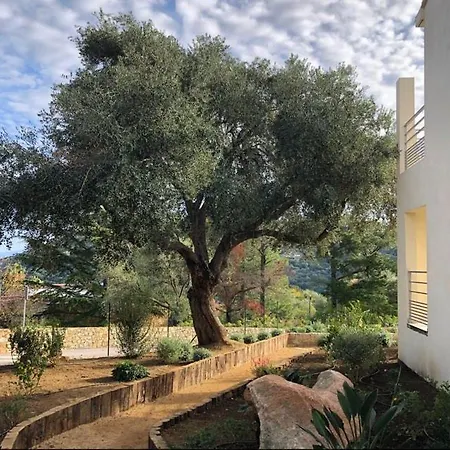 U Manellu Santa-Reparata-di-Balagna