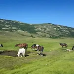 Résidence U Manellu Santa-Reparata-di-Balagna