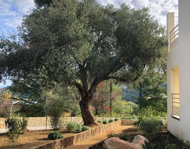 U Manellu Santa-Reparata-di-Balagna