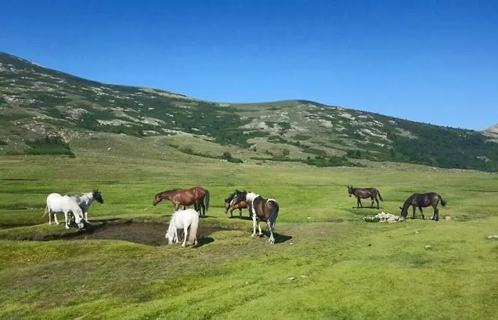 Résidence U Manellu Santa-Reparata-di-Balagna